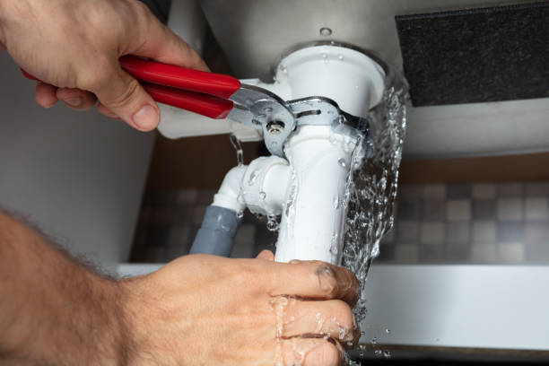Best Water damage mitigation services  in Bloomfield, NY