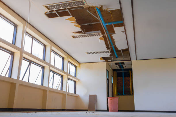 Best Flooded house restoration  in Bloomfield, NY