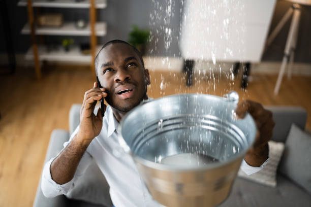 Best Commercial water damage restoration  in Bloomfield, NY