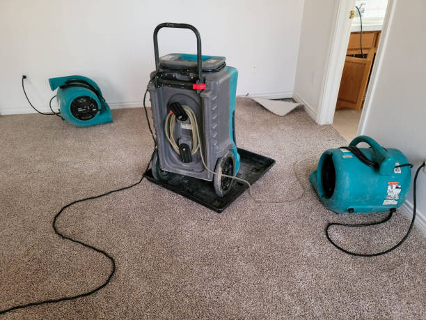 Fire Damage Restoration in Bloomfield, NY