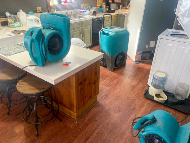Reliable Bloomfield, NY Water damage restoration Solutions