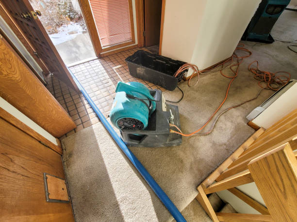Best 24/7 water damage repair  in Bloomfield, NY