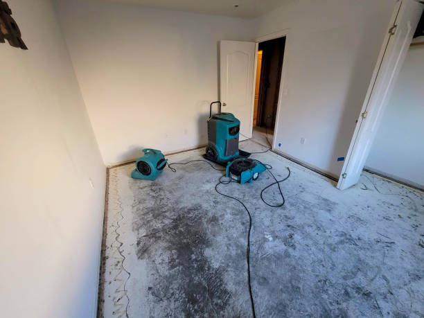 Best 24/7 water damage repair  in Bloomfield, NY