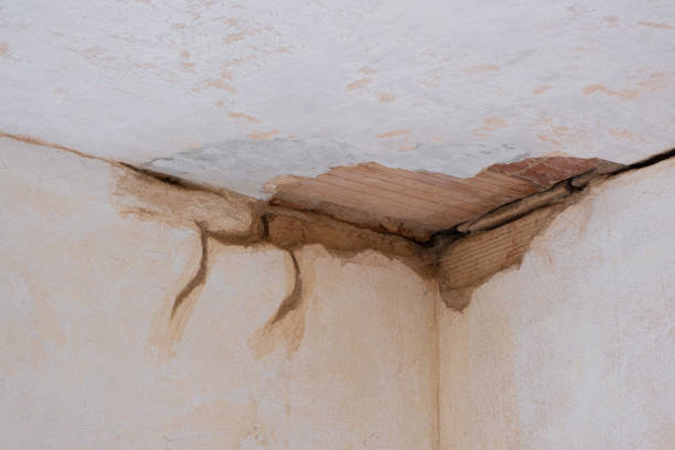 Best Water damage restoration near me  in Bloomfield, NY