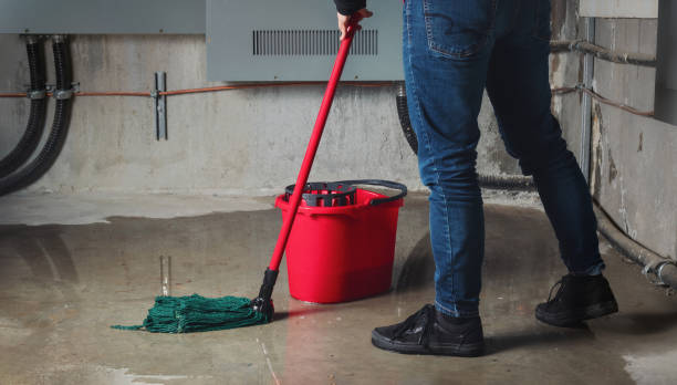 Best Water damage cleanup near me  in Bloomfield, NY