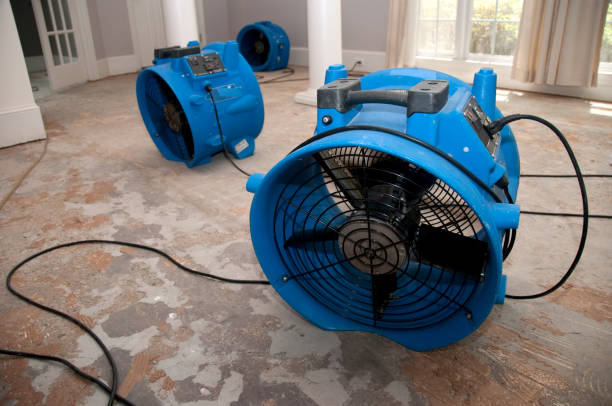 Best Water damage restoration experts  in Bloomfield, NY