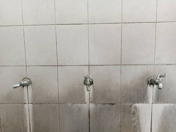 Reliable Bloomfield, NY Water damage restoration Solutions