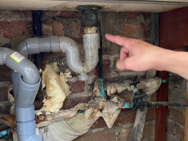 Best Basement water damage restoration  in Bloomfield, NY