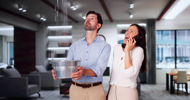 Best Flood damage cleanup  in Bloomfield, NY