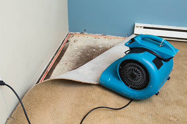 Best Flooded house restoration  in Bloomfield, NY